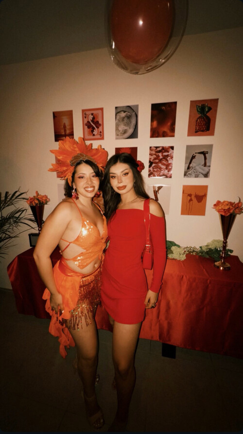 IMG 2546418697554cb7b895