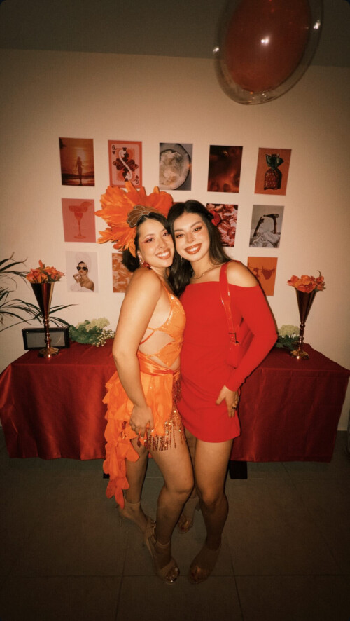 IMG 2550b8c75866484016fa