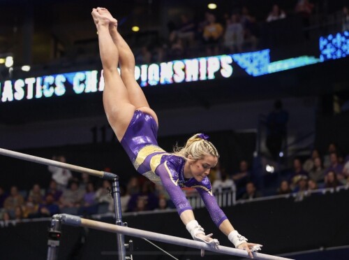 IMG 2556b4443125f3c98428