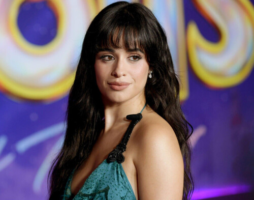 IMG 2562e50c373985dd3060