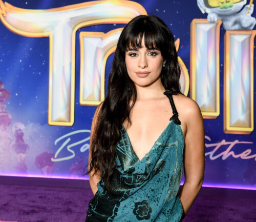 IMG 25638eede33a971f24da