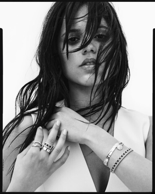 IMG 2617e732524956404ca1