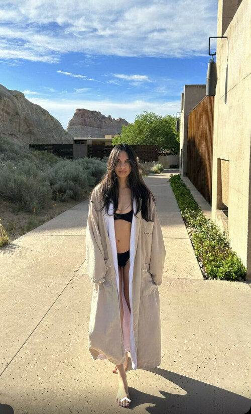 IMG 2637ace66177884a6248