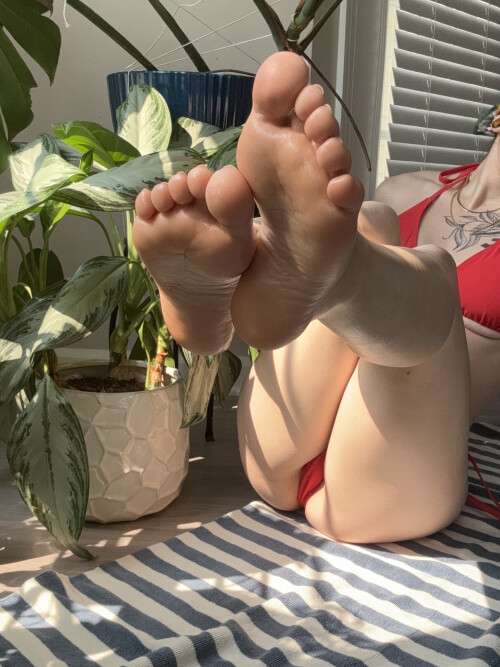 IMG 2669a88504b2c6c9e89b