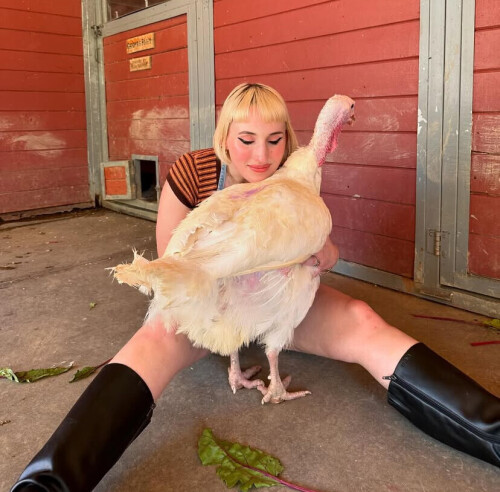 IMG 2775547a0c2e2dc8e40a