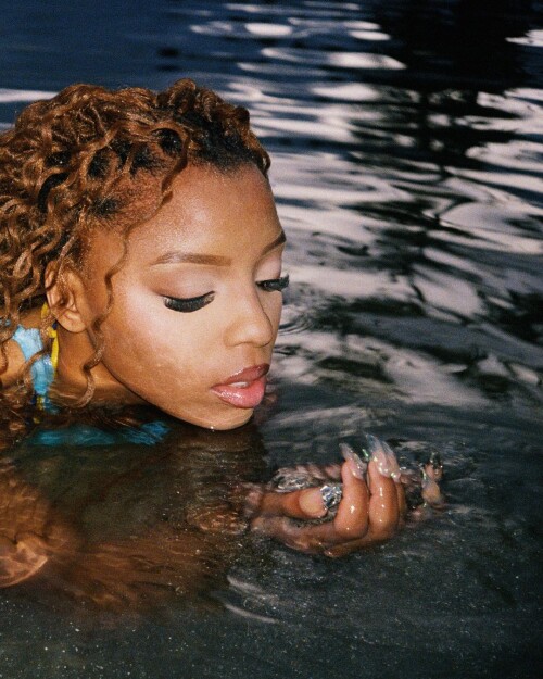 IMG 2783bf63f356d6e42e5b