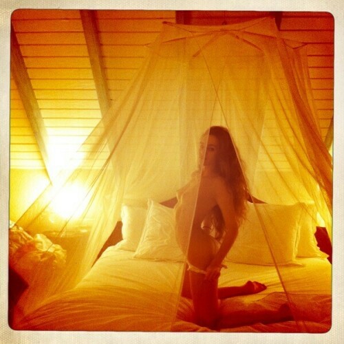 IMG 2834fb2266b4ab4a491c