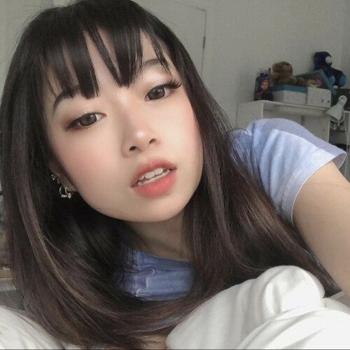 IMG 2906164cf1c463bedee0