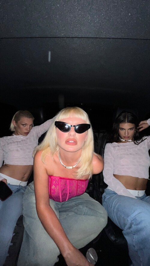 IMG 294247347980a1abd0aa