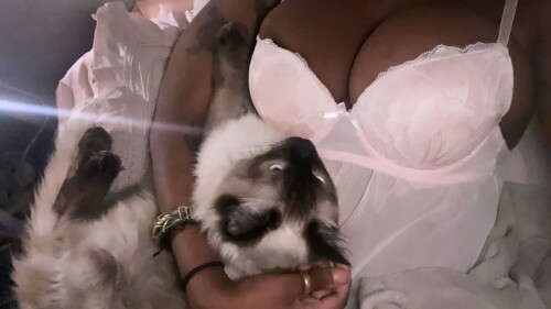 IMG 29527801ae39139c5108