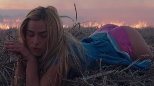 IMG 29656f91b55aa2361df0