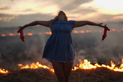 IMG 297558834ac10fc0bde4