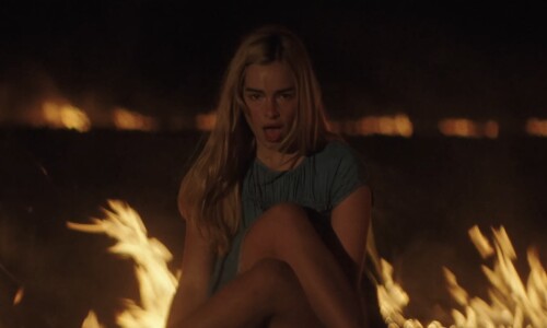 IMG 2985b782cb19fed80773