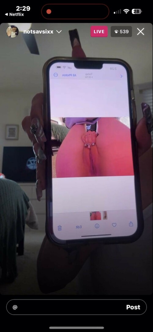 IMG 3146e530498d4c744de8