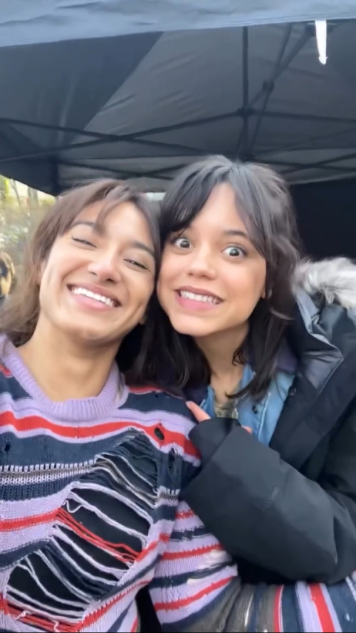 IMG_316154ecdc767ed258c7