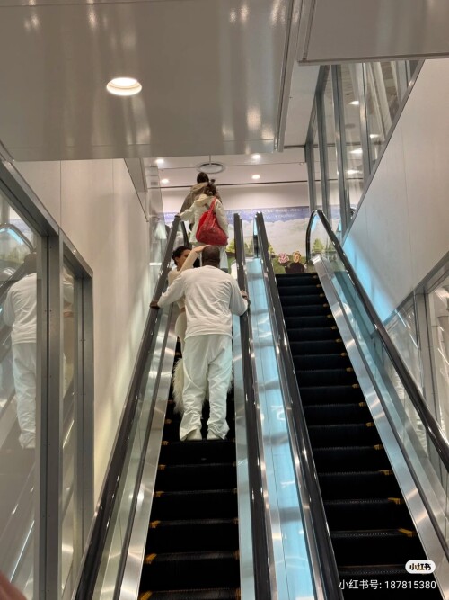 IMG 3187e150f09fd8cd3466