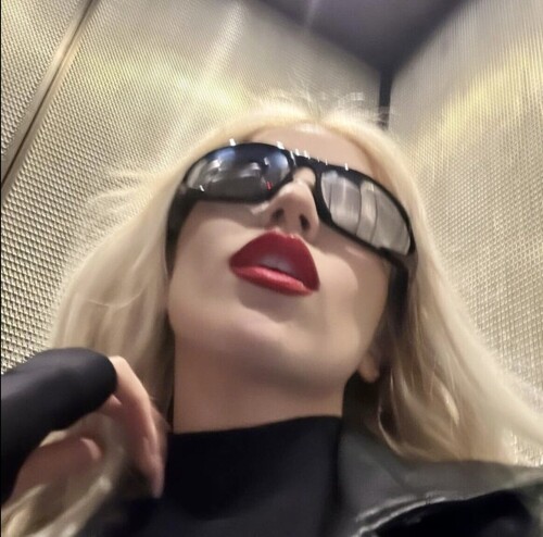 IMG 31926efd87d5ffa41250