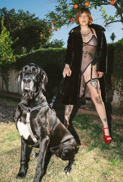 IMG 3234d8e5716008b87f76