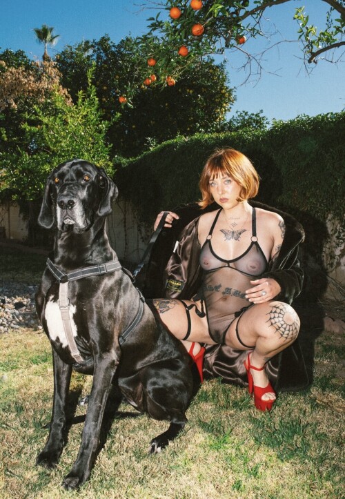 IMG 3235eca7f0a35e80e588