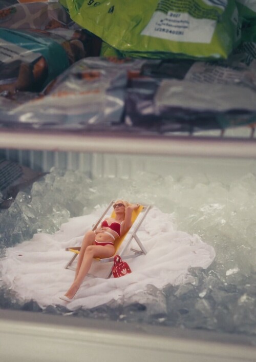 IMG 3239578297388f2d20a7