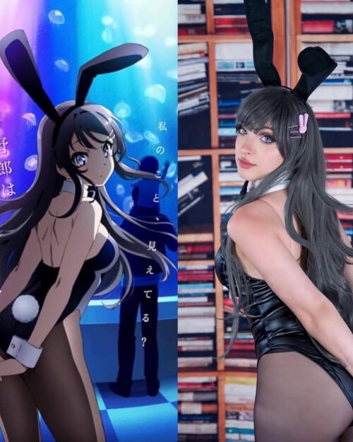 IMG 3284850fc1da244ccee9