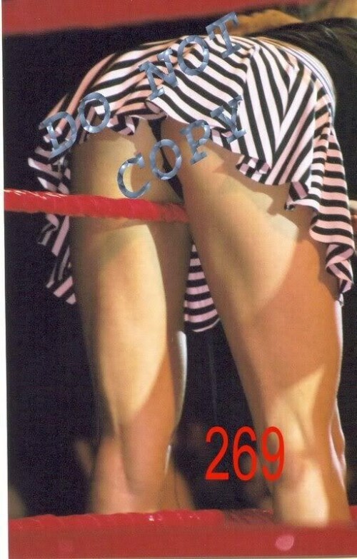 IMG 3348c91253a3a7d6b708