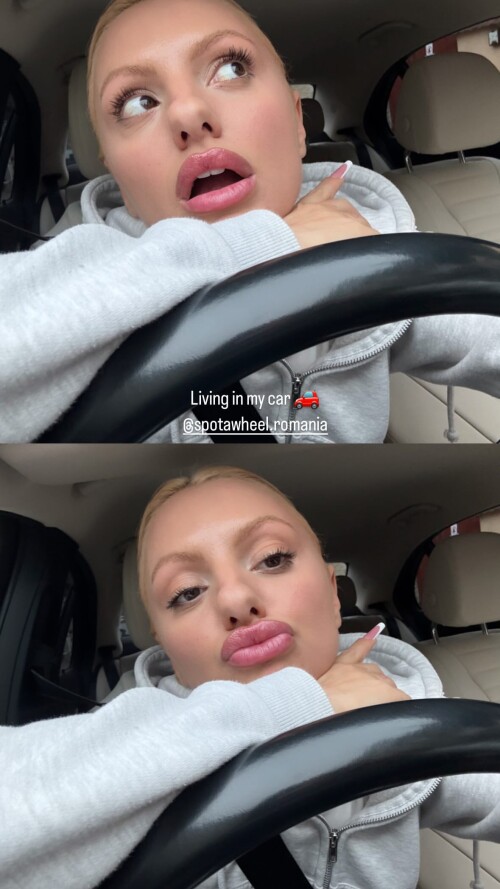 IMG 3362218351c246c7b66a