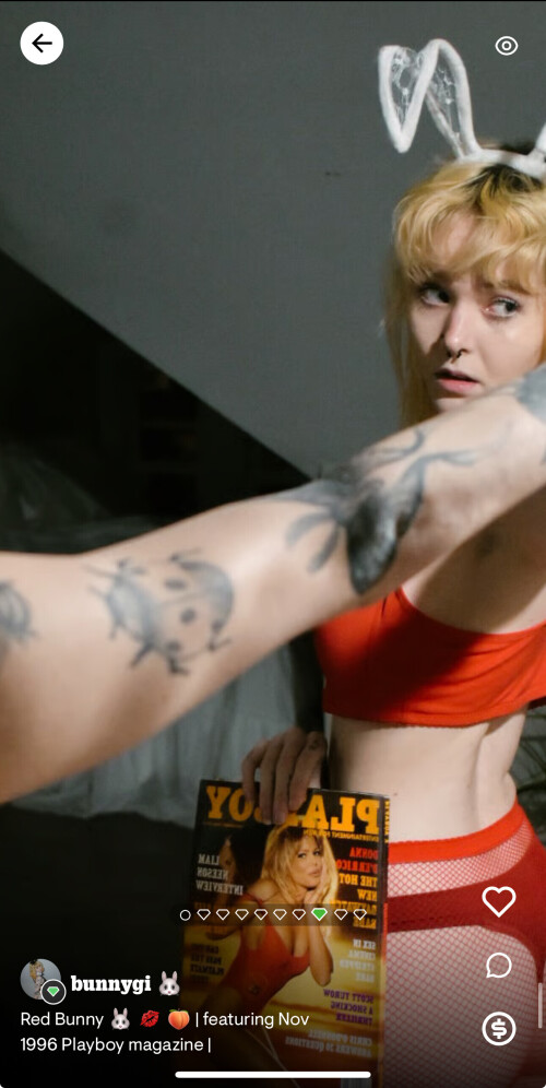 IMG 3393647875703a9d4645