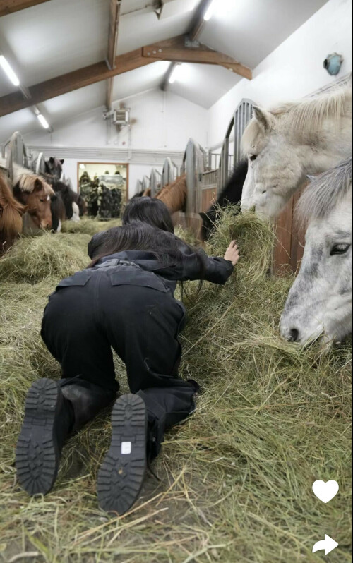 IMG 34212fdf51909255e2e1