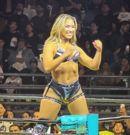 IMG 3442afaa2466a08db4d7