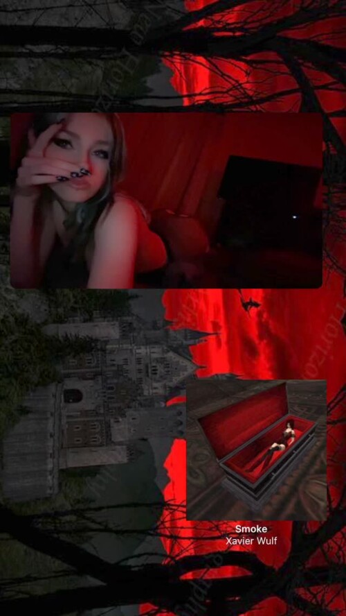 IMG 3626bc5650c1a335e784