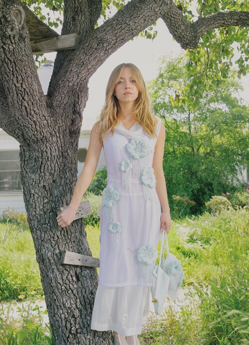 IMG 364452b204a46f7516e7