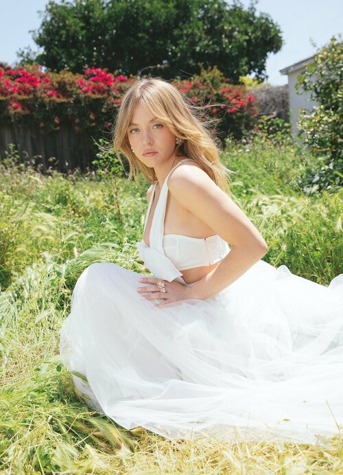 IMG 3648905236aca3402269