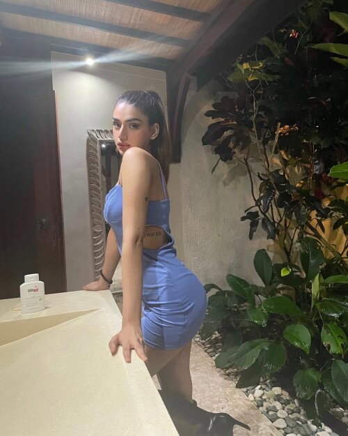 IMG 3656497303fa4dee66ef