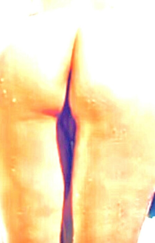 IMG 3668119cb3f666c9d0fd687ec97acce8ff29