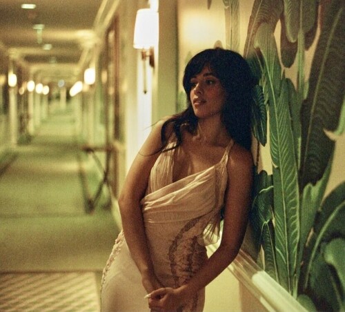 IMG 36794a48234958ed8d91