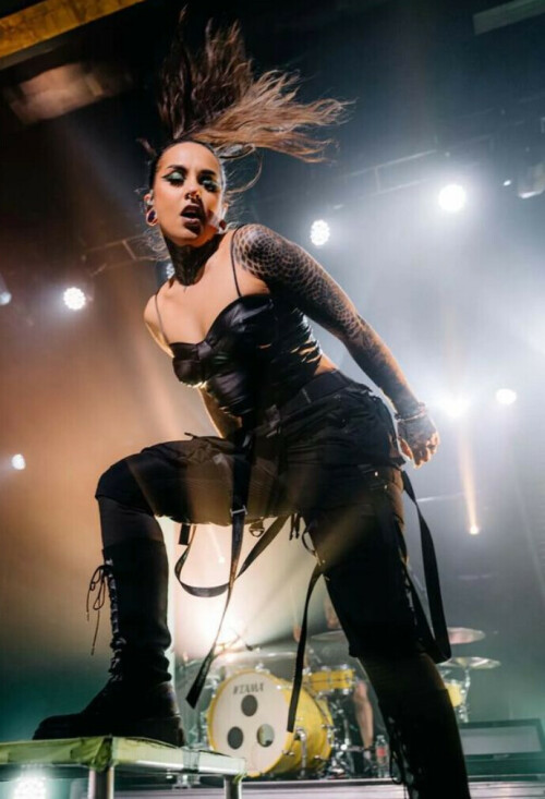 IMG 3695728cffd61d2d8b74