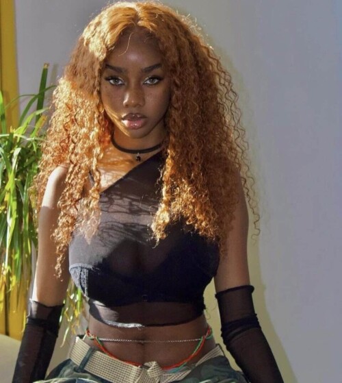 IMG 3713e769448ed310d118