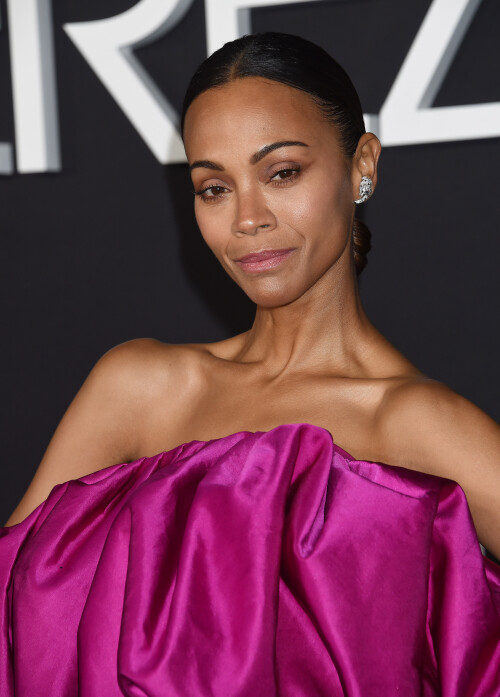 Mandatory Credit: Photo by AFF-USA/Shutterstock (14799115af)Zoe Saldana'Emilia Perez' Premiere, Los Angeles, California, USA - 21 Oct 2024