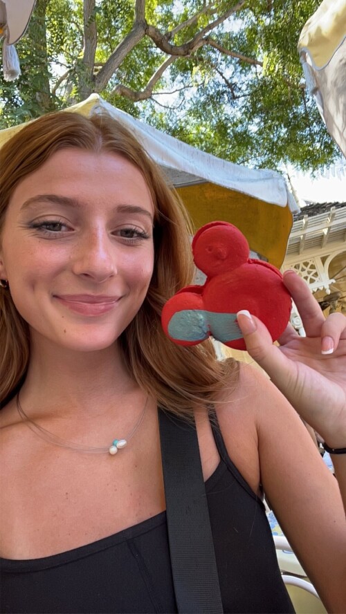 IMG 380158123491a2e36f45