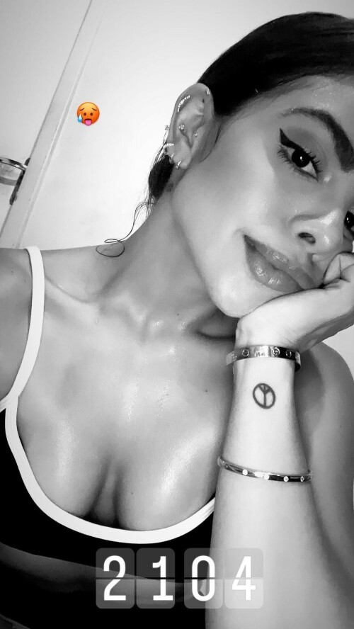 IMG 3858c7269a270637d62d