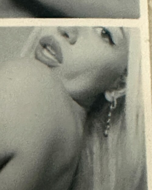 IMG 3938d0cdb9c01a73bc7d