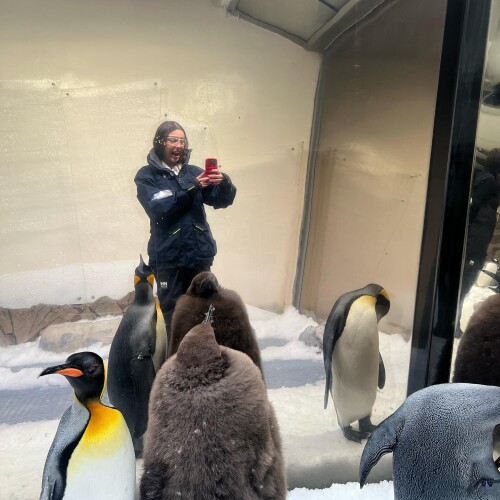 IMG 3954002e3ff60d5d7aa3