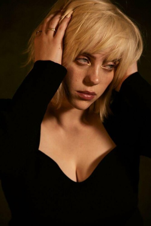 IMG 3960dc815a924ae206ff