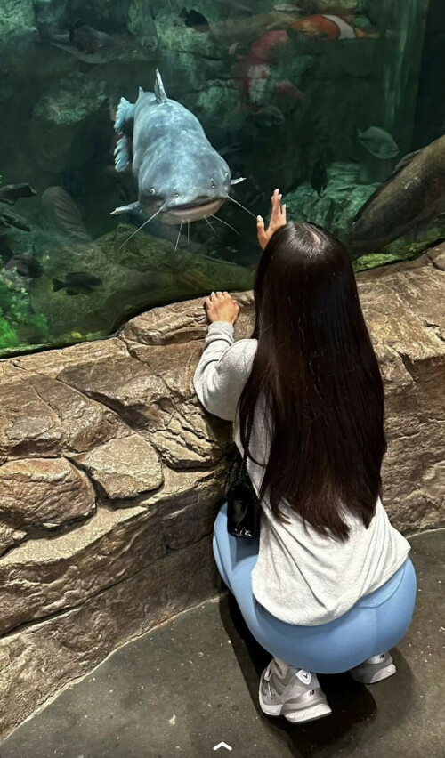 IMG 4001202e6ce60178c931