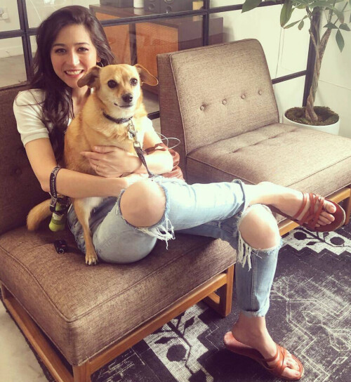 IMG 40861bdb807aa311ec79