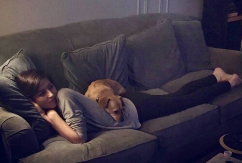 IMG 4089521384aff639820b