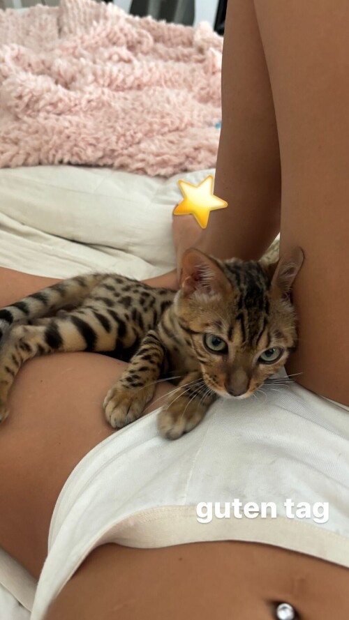 IMG 41318a17c7cc3446c2e1