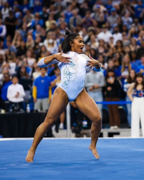 IMG 4168cb91396777dc668d