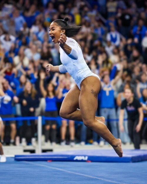 IMG 41737e9f6a1e2502e786